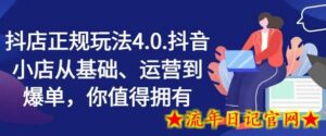 抖店正规玩法4.0,抖音小店从基础、运营到爆单,你值得拥有-流年日记
