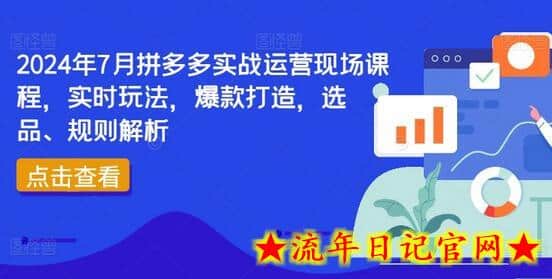 2024年7月拼多多实战运营现场课程，实时玩法，爆款打造，选品、规则解析-流年日记