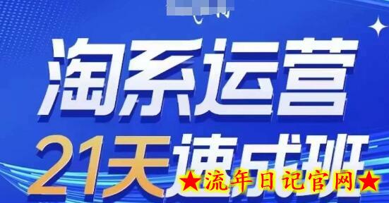 淘系运营21天速成班(更新24年7月)，0基础轻松搞定淘系运营，不做假把式-流年日记