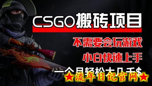 CSGO 装备搬砖项目，操作简单，不需要会玩游戏，小白也能快速上手，一个月轻松大几千-流年日记