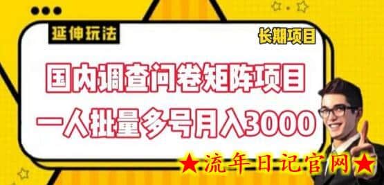 国内调查问卷矩阵项目，一人批量多号月入3000-流年日记