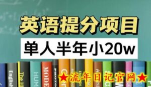 英语提分项目,100%正规项目,单人半年小 20w-流年日记