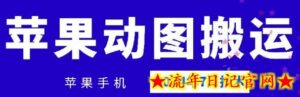 2024年7月苹果手机动图搬运技术-流年日记