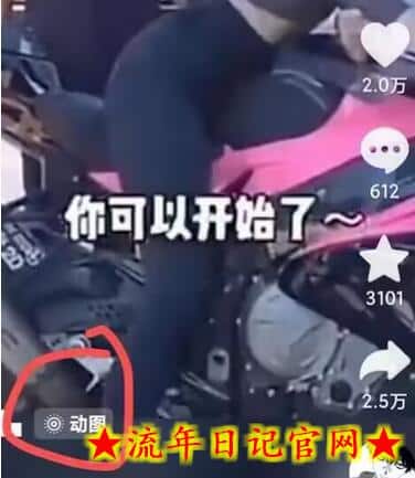 2024年7月苹果手机动图搬运技术插图(1)