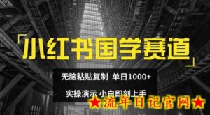 小红书国学赛道,无脑粘贴复制,单日1K,实操演示,小白即刻上手-流年日记