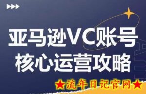 亚马逊VC账号核心玩法解析,实战经验拆解产品模块运营技巧,提升店铺GMV,有效提升运营利润-流年日记