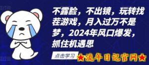 不露脸,不出镜,玩转找茬游戏,月入过万不是梦,2024年风口爆发,抓住机遇-流年日记