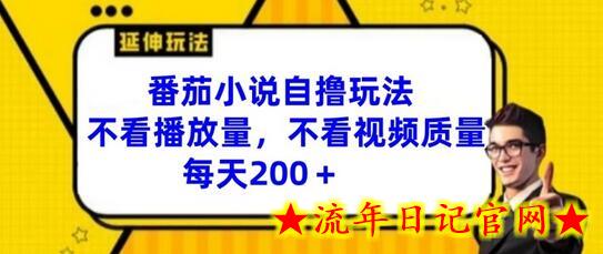 番茄小说自撸玩法，不看播放量，不看视频质量，每天200+-流年日记