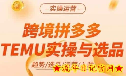 跨境拼多多TEMU实操与选品，多多temu跨境选品运营实操-流年日记