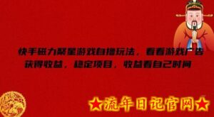 快手磁力聚星游戏自撸玩法,看看游戏广告获得收益,稳定项目,收益看自己时间-流年日记
