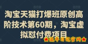淘宝天猫打爆班原创高阶技术第60期，淘宝虚拟怼付费项目-流年日记