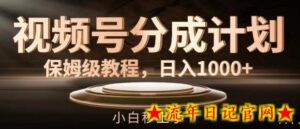 视频号分成计划保姆级教程,日入1K,小白秒上手-流年日记