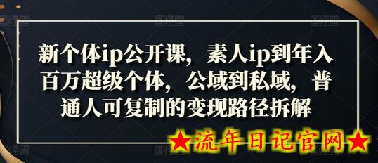 新个体ip公开课，素人ip到年入百万超级个体，公域到私域，普通人可复制的变现路径拆解-流年日记