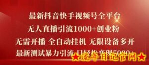 最新抖音快手视频号全平台无人直播引流1000+精准创业粉,日轻松变现5k+-流年日记