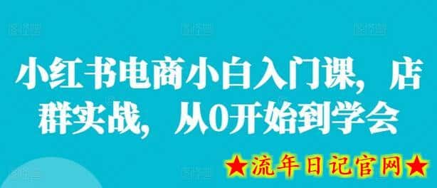 小红书电商小白入门课，店群实战，从0开始到学会-流年日记