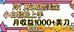 冷门发帖撸美金项目,月收益1000+美金,简单无脑,干就完了-流年日记