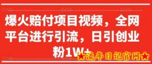 爆火赔付项目视频，全网平台进行引流，日引创业粉1W+-流年日记