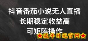 抖音番茄小说无人直播,长期稳定收益高,可矩阵操作-流年日记
