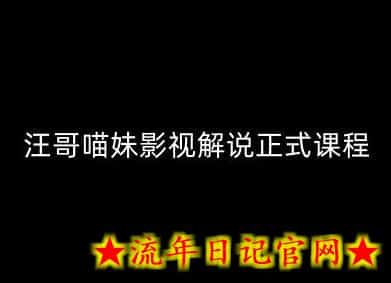 汪哥影视解说正式课程：剪映/PR教学/视解说剪辑5大黄金法则/全流程剪辑7把利器等等-流年日记