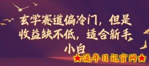 玄学赛道偏冷门,但是收益缺不低,适合新手小白-流年日记