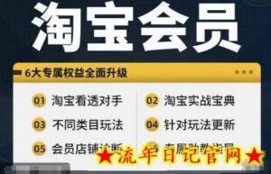 淘宝会员【淘宝所有课程,全面分析对手】,初级到高手全系实战宝典-流年日记