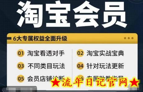 淘宝会员【淘宝所有课程，全面分析对手】，初级到高手全系实战宝典-流年日记