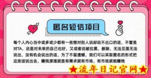 冷门小众赚钱项目,匿名短信,玩转信息差,月入五位数-流年日记