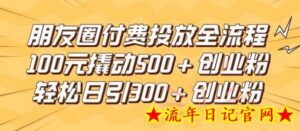 朋友圈高效付费投放全流程,100元撬动500+创业粉,日引流300加精准创业粉-流年日记