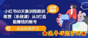 小红书60天集训陪跑训练营(系统课)从0打造能赚钱的账号-流年日记