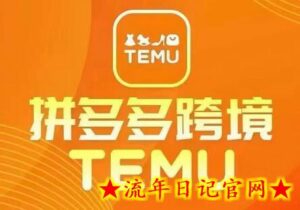 最新TEMU拼多多跨境教程,开店、运营、选品-流年日记