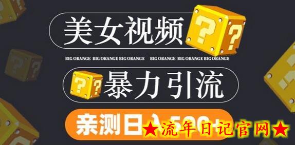 搬运tk美女视频全网分发，日引s粉300+，轻松变现，不限流量不封号-流年日记