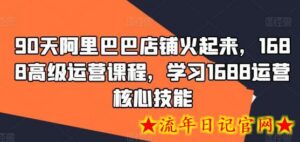 90天阿里巴巴店铺火起来，1688高级运营课程，学习1688运营核心技能-流年日记