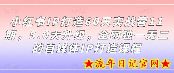 小红书IP打造60天实战营11期，5.0大升级，全网独一无二的自媒体IP打造课程-流年日记