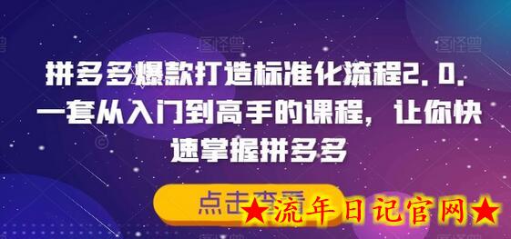 拼多多爆款打造标准化流程2.0，一套从入门到高手的课程，让你快速掌握拼多多-流年日记