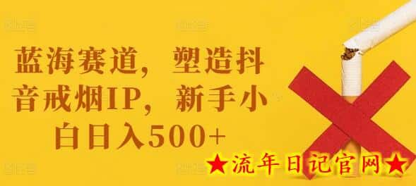 蓝海赛道，塑造抖音戒烟IP，新手小白日入500+-流年日记