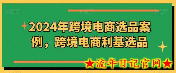 2024年跨境电商选品案例，跨境电商利基选品（更新）-流年日记