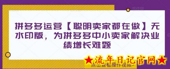 拼多多运营【聪明卖家都在做】无水印版，为拼多多中小卖家解决业绩增长难题-流年日记