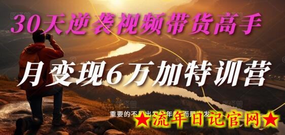 30天逆袭视频带货高手，单月变现6万加特训营-麦子甜-流年日记