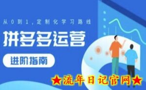 拼多多运营进阶指南,从0到1定制化学习路线-流年日记