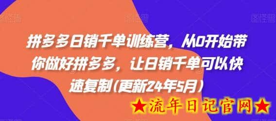 拼多多日销千单训练营，从0开始带你做好拼多多，让日销千单可以快速复制(更新24年8月)-流年日记