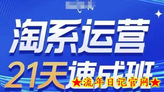 淘系运营21天速成班(更新24年8月)，0基础轻松搞定淘系运营，不做假把式-流年日记