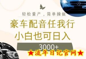 不为人知的暴力小项目,豪车配音,日入几张-流年日记