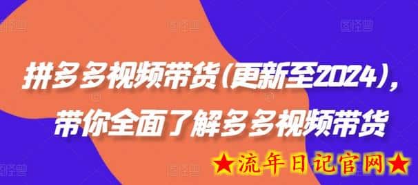 拼多多视频带货(更新至2024)，带你全面了解多多视频带货-流年日记