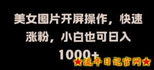 美女图片开屏操作,快速涨粉,小白也可日入1k-流年日记