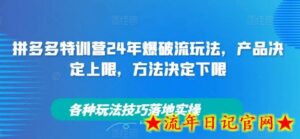 拼多多特训营24年爆破流玩法,产品决定上限,方法决定下限,各种玩法技巧落地实操-流年日记