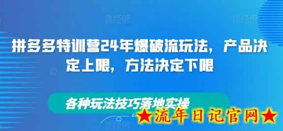 拼多多特训营24年爆破流玩法，产品决定上限，方法决定下限，各种玩法技巧落地实操-流年日记