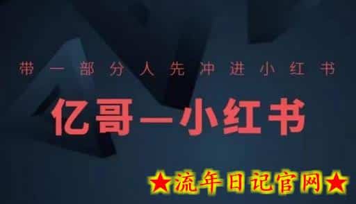 ​​带一部分人先冲进小红书，小红书开店、选品、爆款裂变-流年日记