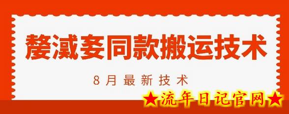 抖音96万粉丝账号【嫠㵄㚣】同款搬运技术-流年日记