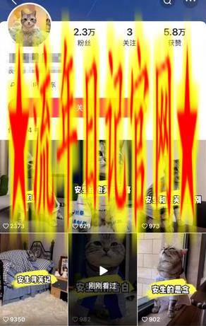 快手MT搬运技术，一比一搬运不剪辑，剧情可用，条条同框插图(1)