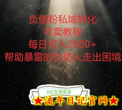 负债粉掘金计划，帮助负债者解决问题，债务规划，债务重组，最好的变现方式-流年日记